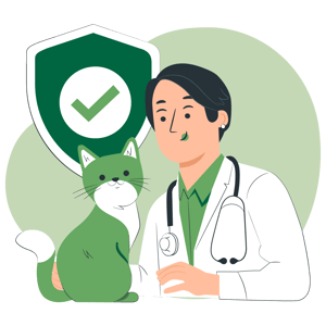 Kattförsäkring illustration