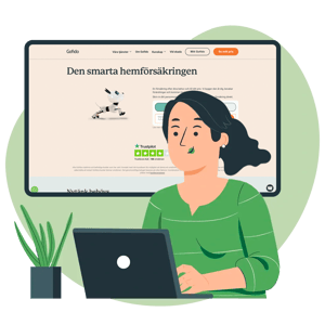 Gofido screenshot illustration