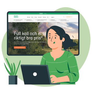 Mölndal Energi screenshot illustration