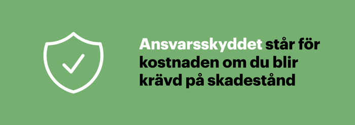 Ansvarsskyddet i båtförsäkringen täcker skadestånd