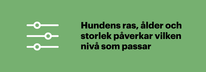 Illustration som visar att ras, ålder och storlek påverkar vilken nivå av hundförsäkring som passar.