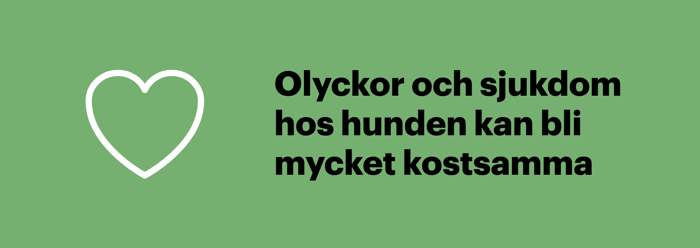Illustration som påminner om att veterinärvård vid olyckor och sjukdom kan bli dyr utan hundförsäkring.