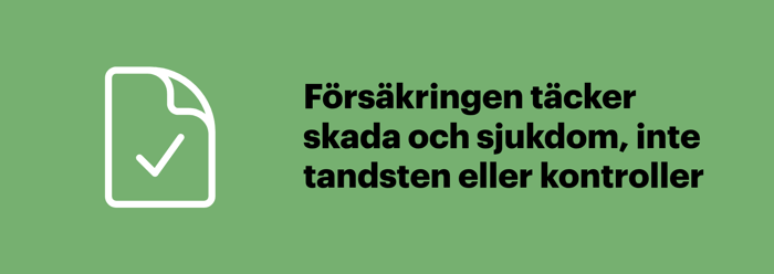 Tandvårdsförsäkring för djur täcker skada och sjukdom men inte tandsten